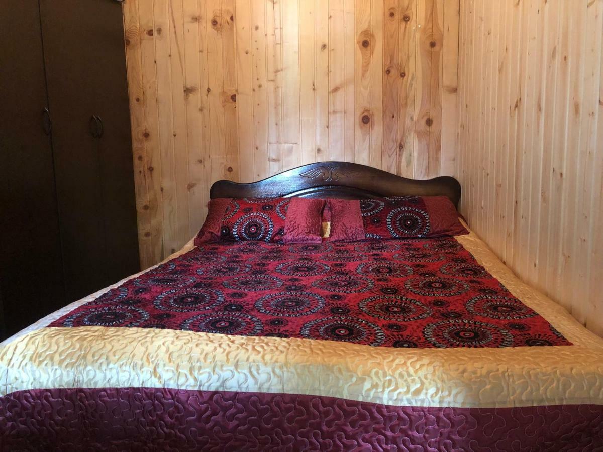 Guesthouse Svani Ushguli Ngoại thất bức ảnh